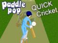 Gra Paddle Pop Quick Cricket