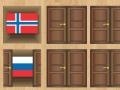 Gra Match the Flags