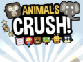 Gra Animals Crush