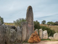 Gra Sardinian Tomb