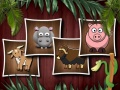 Gra Animal Shapes 3