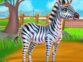 Gra Zebra Caring