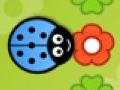 Gra Ladybird