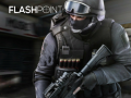 Gra Flashpoint