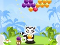 Gra Bubble Shooter Raccoon