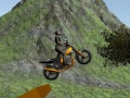 Gra Dirt Bike Rider