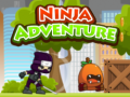 Gra Ninja Adventure