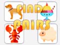 Gra Find The Pair