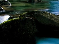 Gra Objects in nature