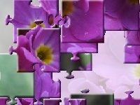 Gra Bouqet for bride