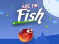 Gra Save The Fish