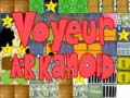 Gra Voyeur arkanoid