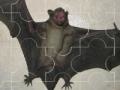 Gra Flying bat