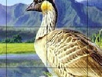 Gra Ducks and rainbow