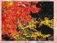 Gra Choose a puzzle 3