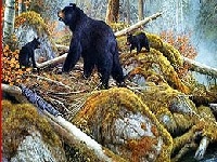 Gra Bears near the lake