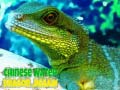 Gra Chinese Water Dragon Jigsaw