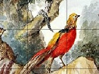 Gra Birds in the wood