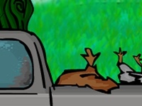 Gra Cash for chicken