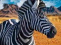 Gra Zebra Hunter