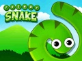 Gra Frenzy Snake