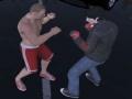Gra Fighting Club 2