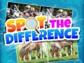 Gra Spot The Difference