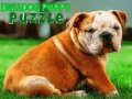 Gra Bulldog Puppy Puzzle