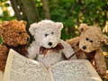 Gra Cuddly Three Teddy Jigsaw