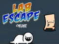 Gra Lab Escape Online