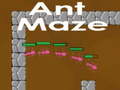 Gra Ant maze