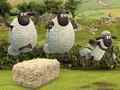 Gra Shaun the Sheep Alien Athletics