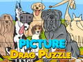Gra Picture Drag Puzzle