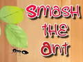 Gra Smash the Ant
