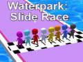 Gra Waterpark: Slide Race