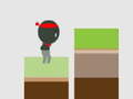 Gra Ninja the Jump