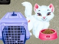 Gra Baby Taylor Pet Care