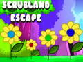 Gra Scrubland Escape