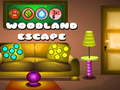 Gra Woodland Escape
