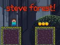Gra Steve Forest