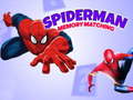 Gra Spiderman Memory Matching