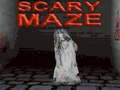 Gra Scary Maze 3D