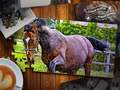 Gra Jigsaw Puzzle Horses Edition