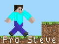 Gra Pro Steve