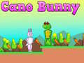 Gra Cano Bunny