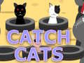 Gra Catch Cats