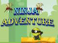 Gra Ninja Adventure