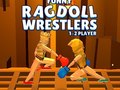 Gra Funny Ragdoll Wrestlers