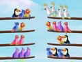 Gra Bird Sort Puzzle