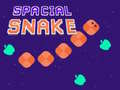 Gra Spacial Snake
